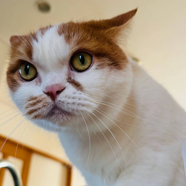 D3d84d11 3551 4323 bae7 cf9c152bc87b 1765852046346