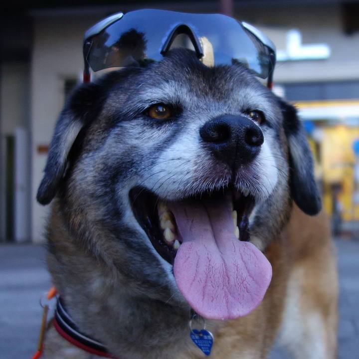 D3d875e8 2b29 4f8c a9f1 16b0c987c560 1530320831528