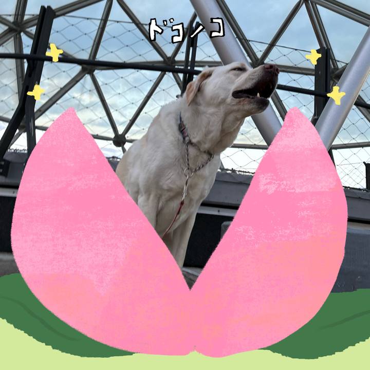 D3d87a98 e7b1 4f7c 98f7 8e066d9c816c 1771900451341