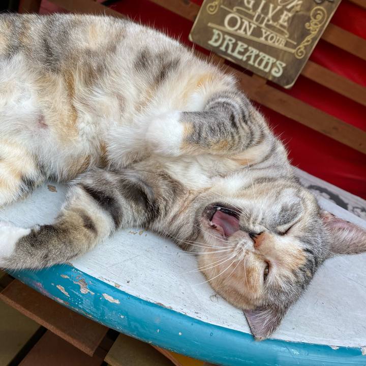 D3d89aa6 911d 46fd bf71 d75aece90312 1626777654446