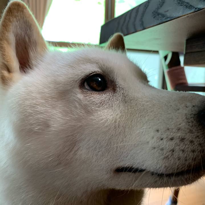 D3d8a575 5906 4655 bd6c d3f8850318c7 1592619340384