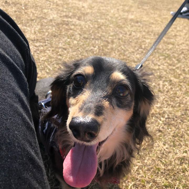 D3d8b41c 01bd 4b10 87a5 3979b59ddbae 1613971176646