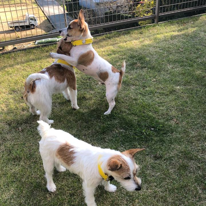 D3d91edc 5f2f 4898 926c 0476d38814be 1574595256121