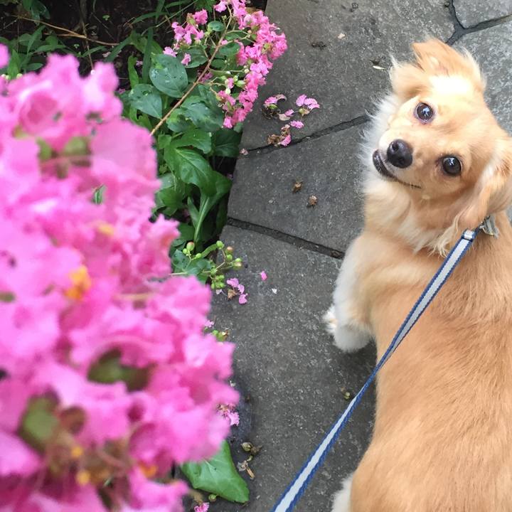 D3d924a0 a44a 4aa0 a880 b16a1662080a 1567296420231