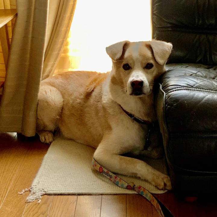 D3d9451a 195b 4576 bc57 93abbe2bfb75 1596338896221