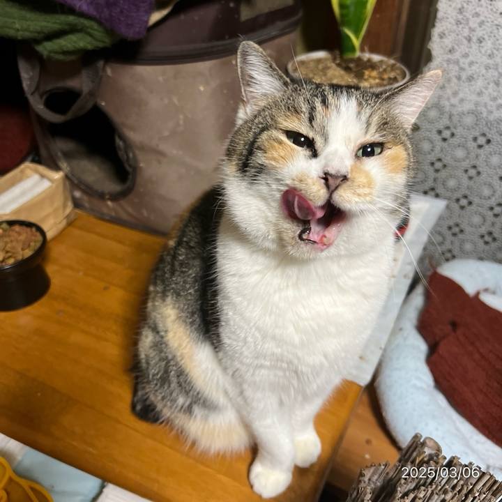 D3d94b5b f775 449c 8ff9 5fbba67c4335 1741211792012