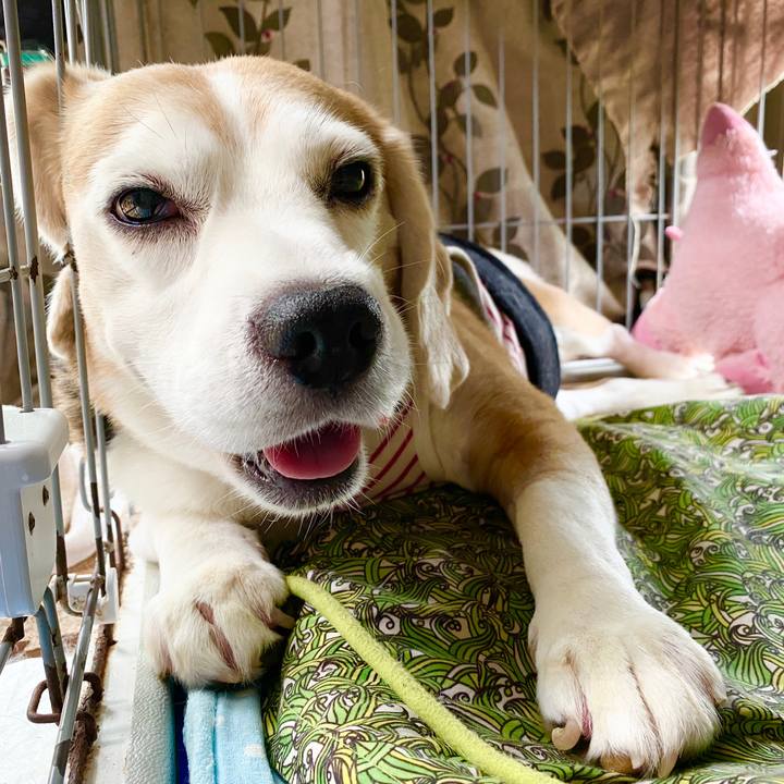 D3d95015 8e0f 4f44 b50f c48a25900c59 1593920552279