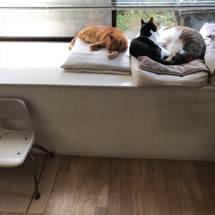 D3d96a68 1c09 4f57 80bd 8658f46d2d95 1542317225166