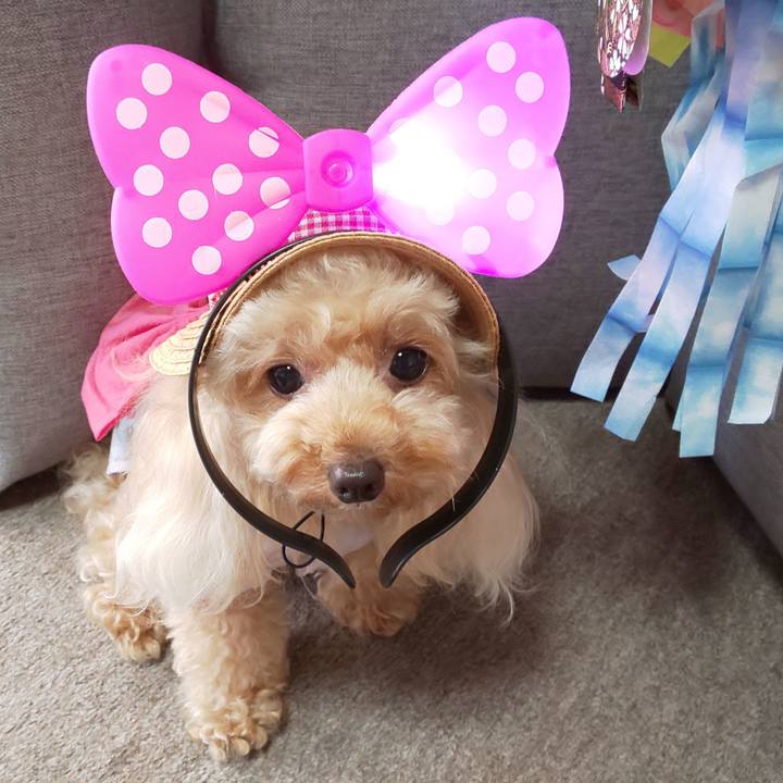 D3d96d08 aff2 4af8 bdd4 cb9890d99767 1565179833756