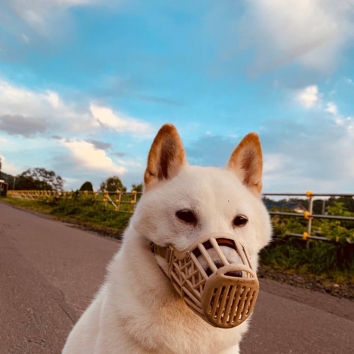 D3d98ea2 e8c3 4f91 8caf 523db71cc8e7 1566941790595