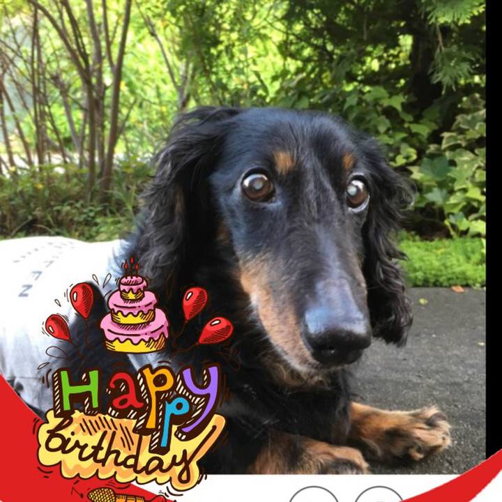 D3d9ae78 202d 4a69 aff3 803415993014 1515907229715