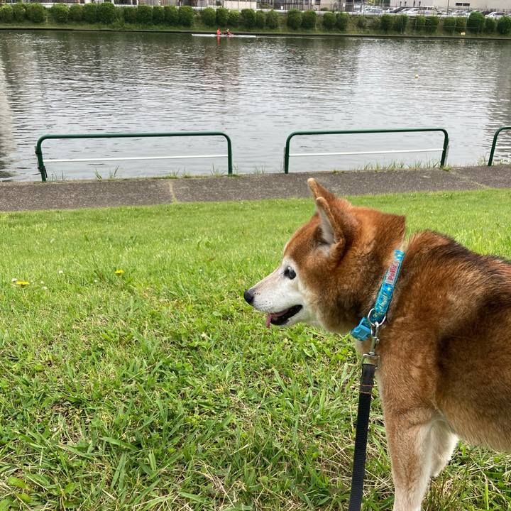 D3d9b0e2 d560 4c16 bbdc 46737f77d1de 1747202958773