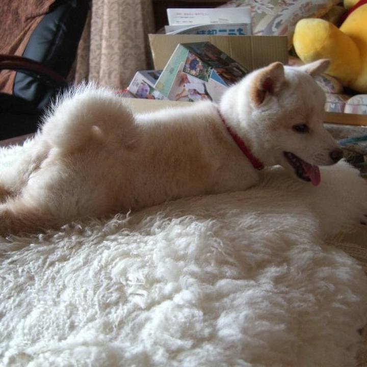 D3d9efdf 027e 4489 ae70 20d21610dcc4 1665227156871