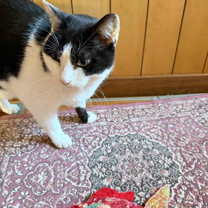 D3d9f8e8 93c0 4e91 a453 a12312990530 1773538274862