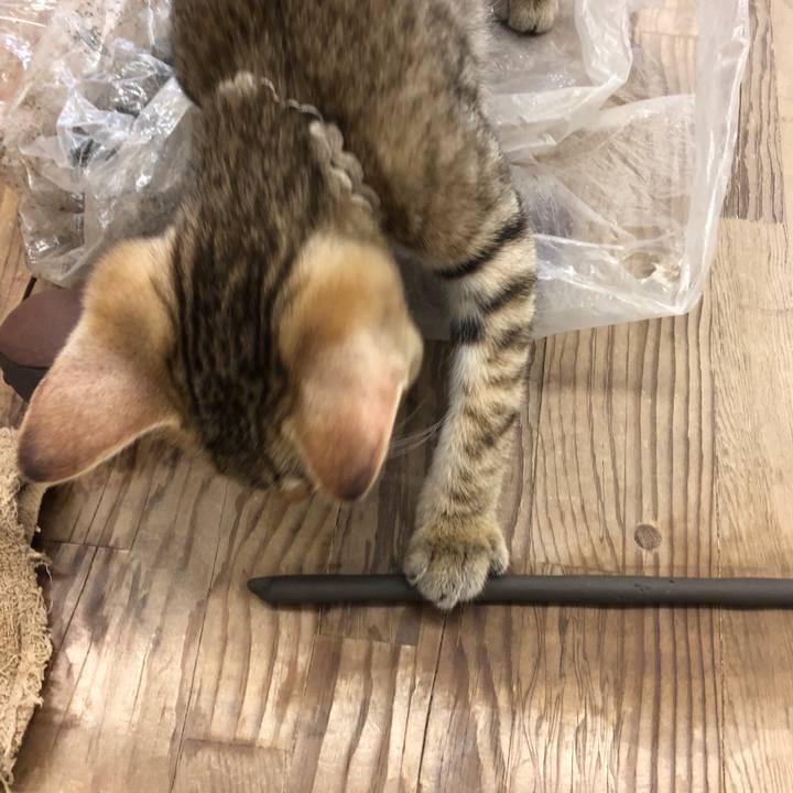 D3da5011 92fd 4425 ae4f 478eb2f61852 1634257570012