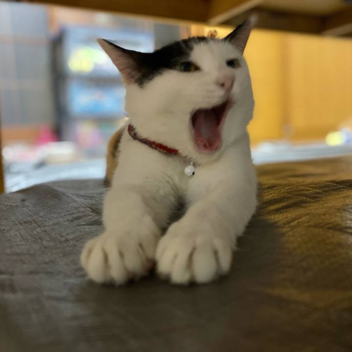 D3da731a 3f0a 4d18 bcbb bb616c6a58c0 1655495523848