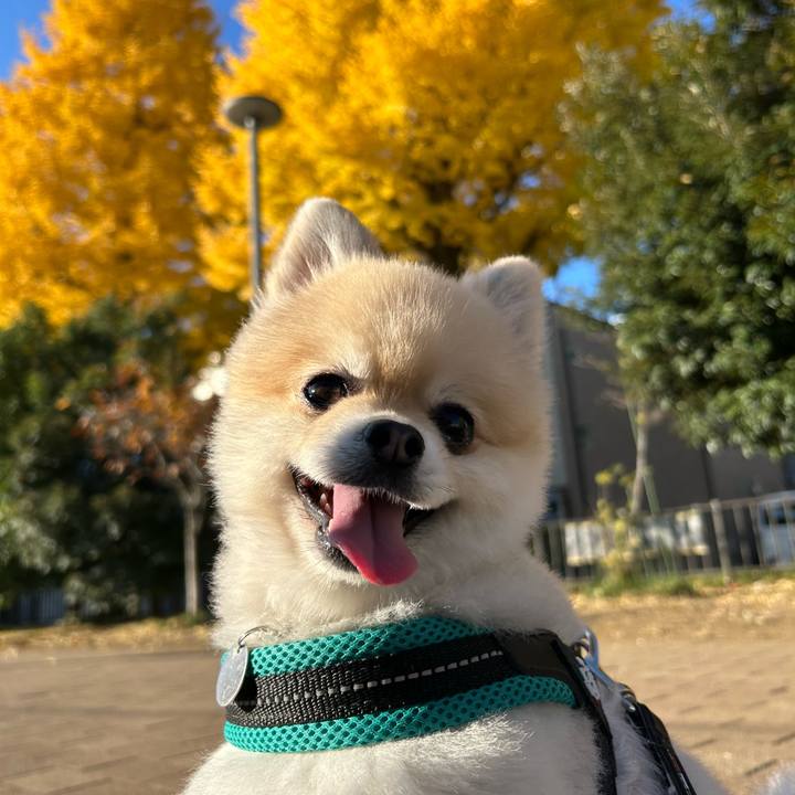 D3daa696 2ea3 41e1 8085 3a494d3de638 1765025255249