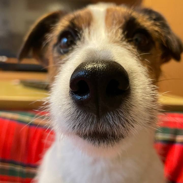 D3daafd8 19f1 404b 9c66 6022860319d6 1646524147327