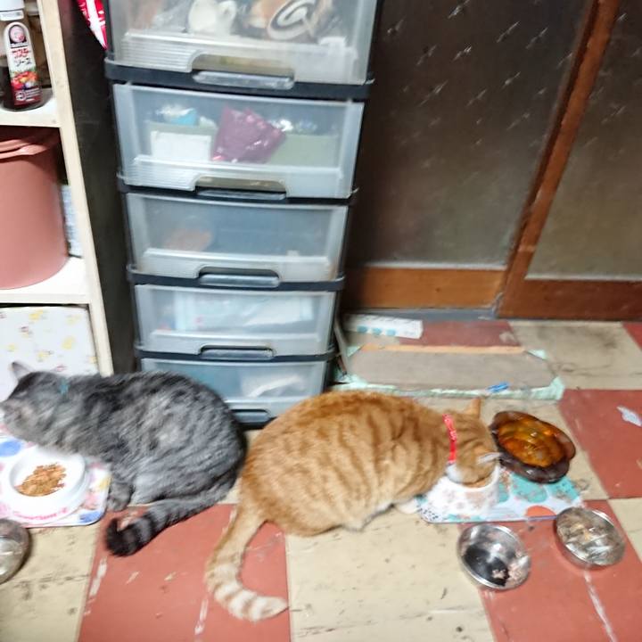 D3dab1ab 8126 4817 9f93 ee96ce2bc6ea 1577044248040