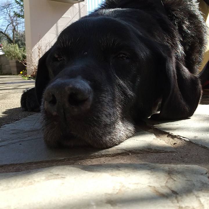 D3dabaf1 11a2 4b04 9d8c 0d986d3f0cc2 1709113147607