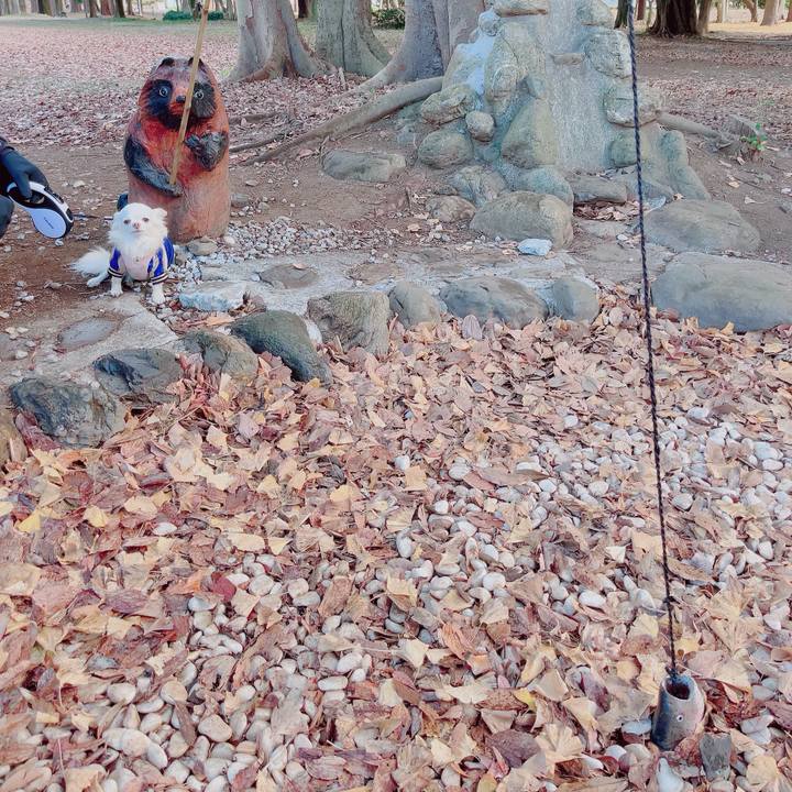 D3dad919 ff29 4432 bc26 11f7b78ab78a 1704187254293