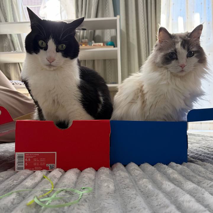 D3db0afe 74d0 4b49 b39e 36fa8f16d0c8 1772955886552