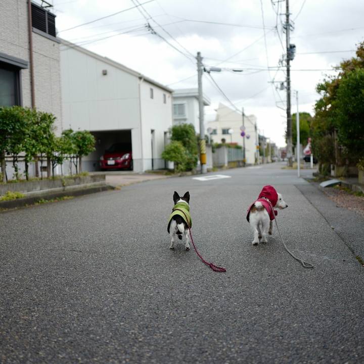 D3db13a3 1a9a 4c4c 9f92 6fd99f34d58f 1540788020855