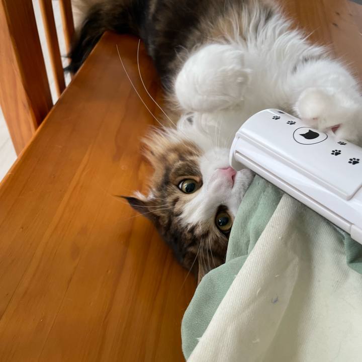 D3db3408 246a 4b20 90b3 6ae65a930920 1654903441704