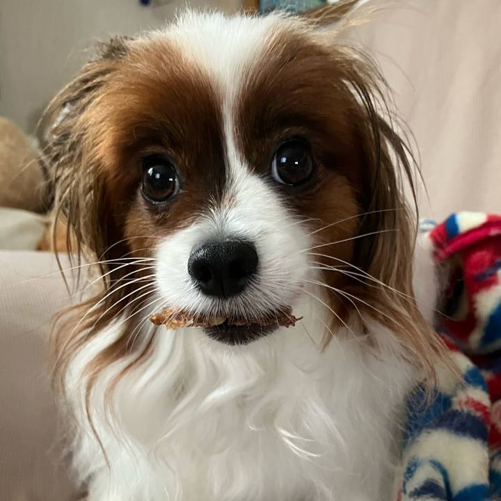 D3db3d7b b6e7 428e 8bb0 eb0c123afed2 1692062704116