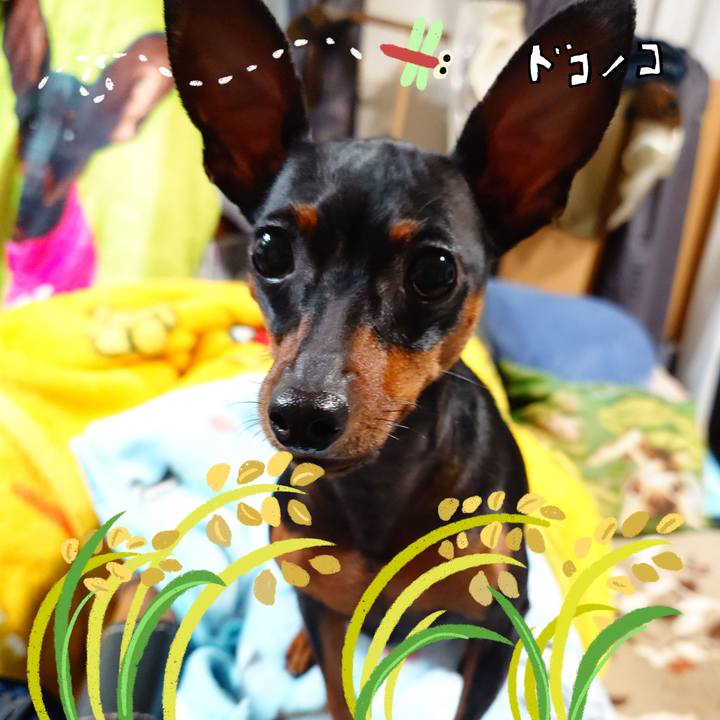 D3db46af 770b 40db bf9f 1a67ab692636 1762084735173