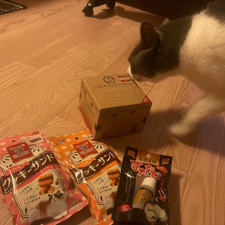 D3dc09e8 f182 452a b209 a164ae6b80f9 1672057871994