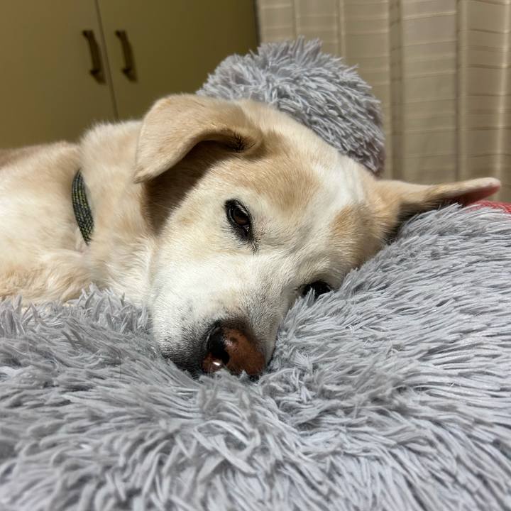 D3dc195f e72e 4935 a18c 917fa59d7ccd 1700389439392