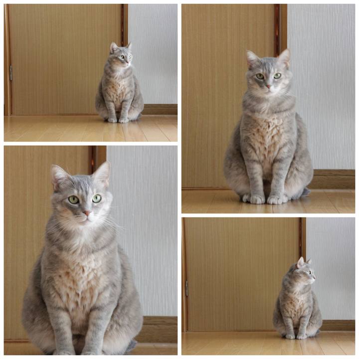 D3dc4228 ccb6 4150 8e4f 0f9e4ff704fb 1646625623292