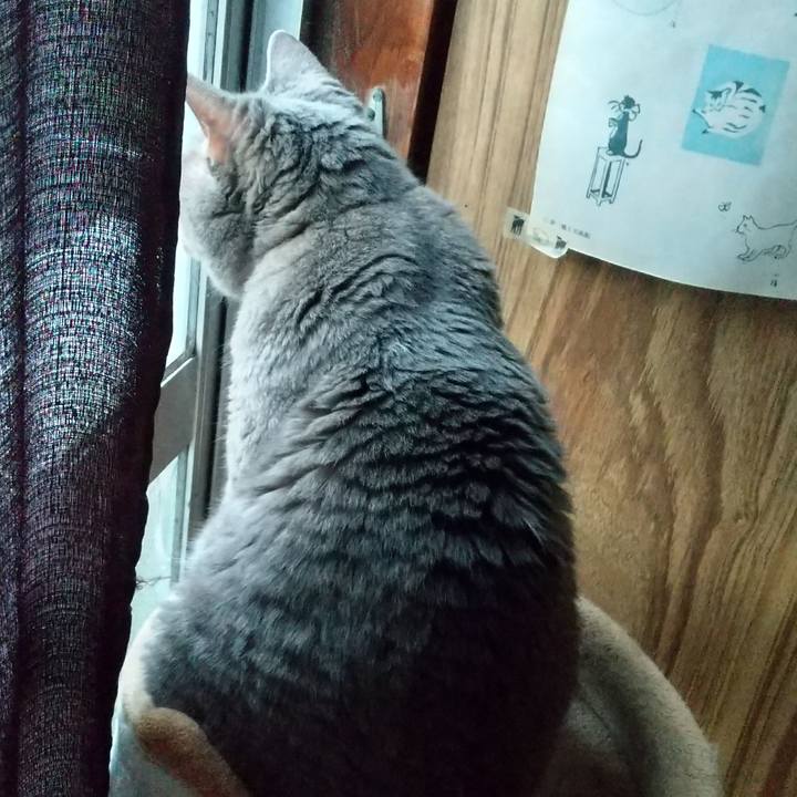 D3dc6ab0 92ae 4d92 a95d b6fabff9f1b3 1601251240959