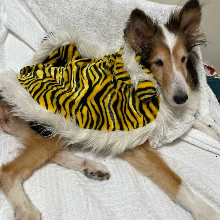 D3dc6bad dfa3 4f92 9759 eca17b3ddd64 1641009708998