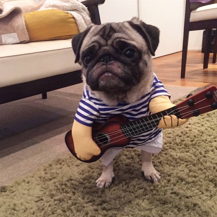 D3dc9207 7c6b 4356 b27c cea1a05a4ed5 1508684813620