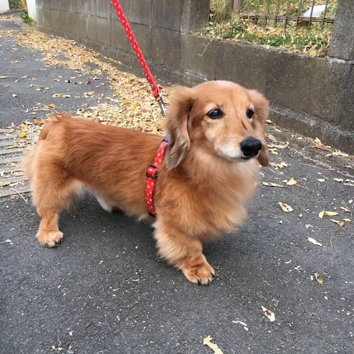 D3dca52a 0a1c 4a59 b266 fd2be8bd5223 1636552749097