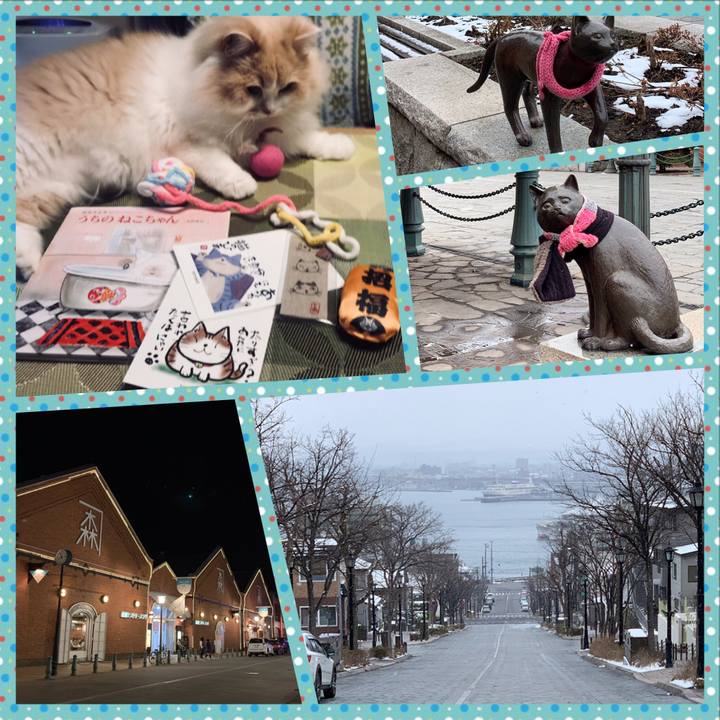 D3dcc554 db6e 490f a3f4 1b7cc55dfb29 1554124628357