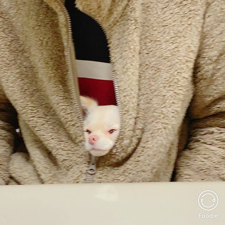 D3dceb4f 28b1 4cd0 ab5c a0f50e85b325 1609407551234