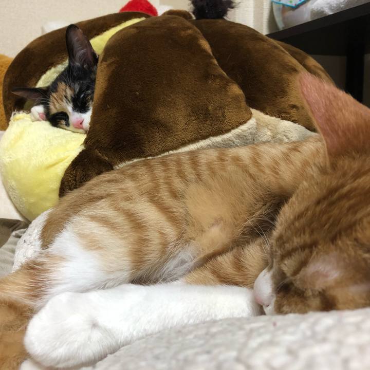 D3dceb91 682f 40cd a6f1 4f3945bf6a25 1551698459230