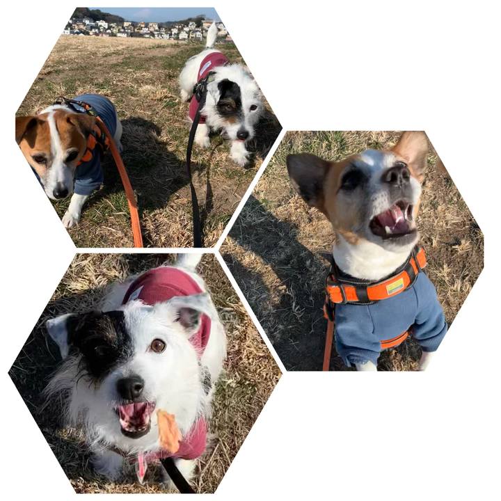 D3dcf623 36e1 47f5 b2ae d7a5ceef428b 1612660099546