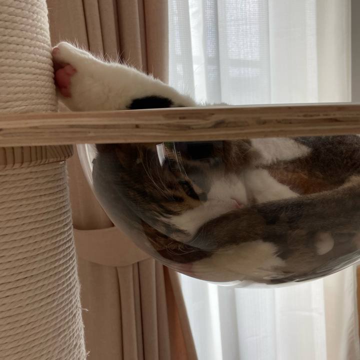 D3dd193f b126 495f a05a 57ec9b037858 1659222917251