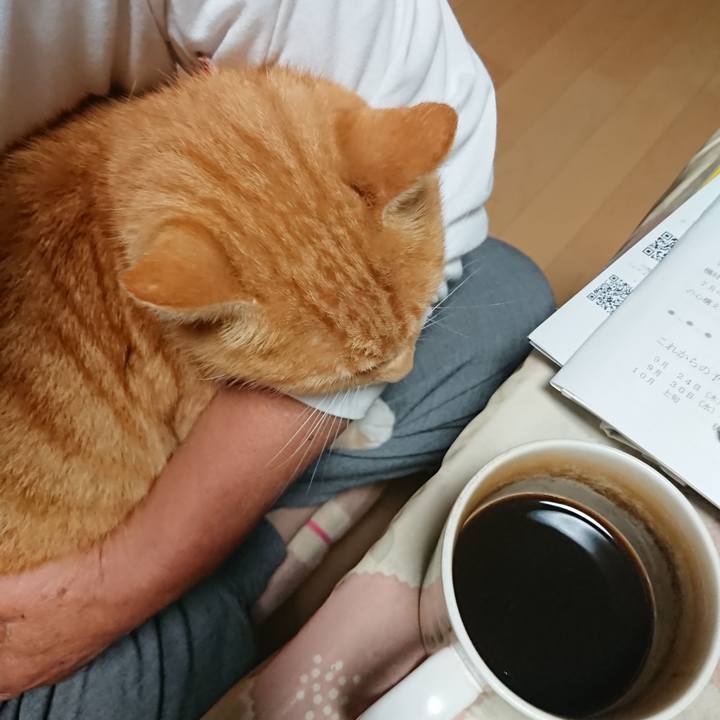 D3dd336c 076d 444c 81af c91736da615d 1600287501456