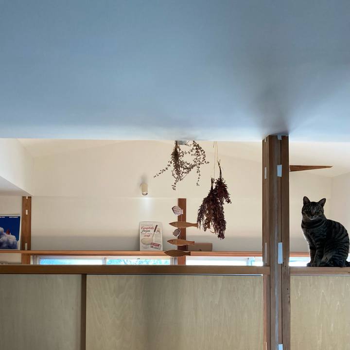 D3dd4cb0 a26a 4b68 89f7 766cbdebda0f 1680307215629