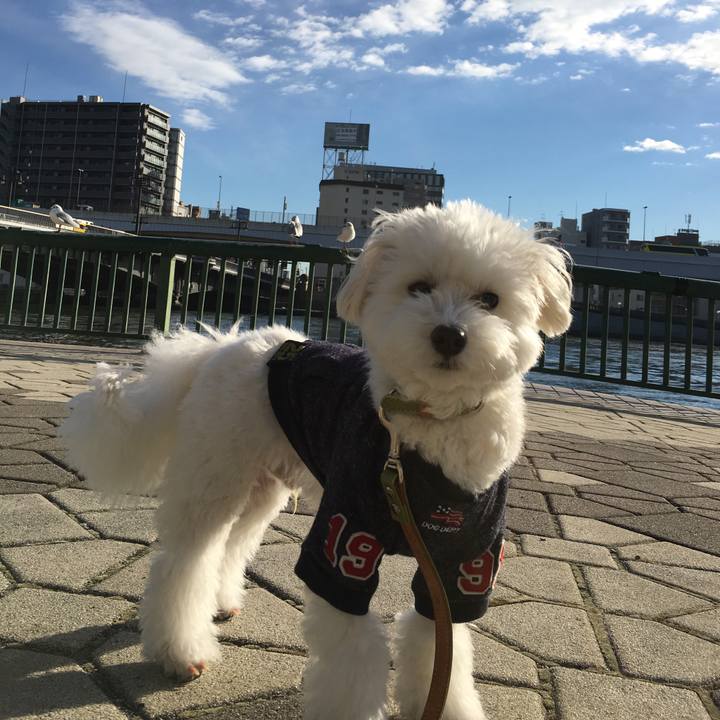 D3dd55e2 9ee4 4cfa b8f4 a1acf92a7445 1548339948321