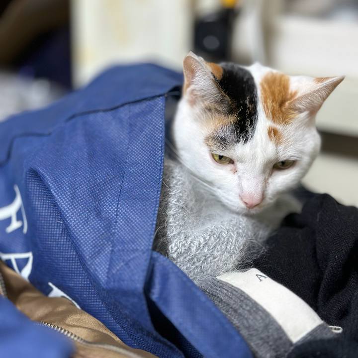 D3dd5f4e fe98 468d 8488 4c19fcc54ea5 1671763201722