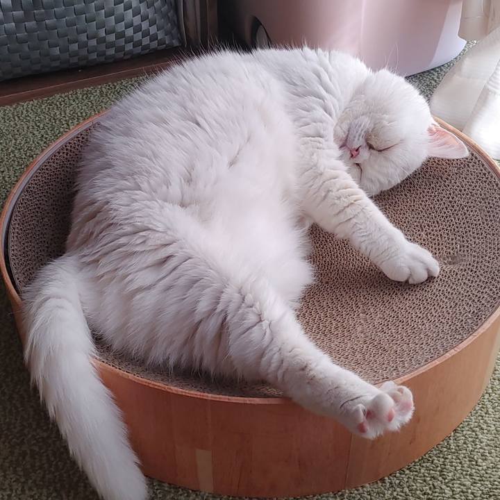 D3dd87a2 e3c6 4634 a998 f0aa93cdd9dc 1664078450742