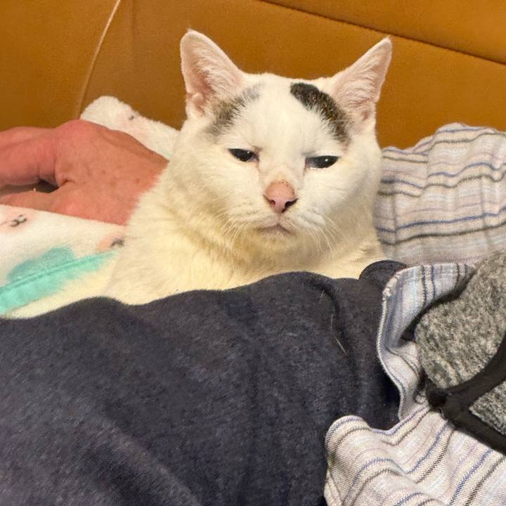 D3dd8e38 d2a3 4c08 aa5f 1398f78a54b2 1767096559686