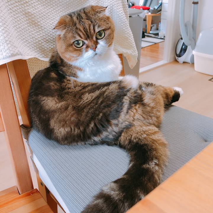 D3dda1b6 af4f 4eb4 83c9 d8bbb267a332 1555919036036