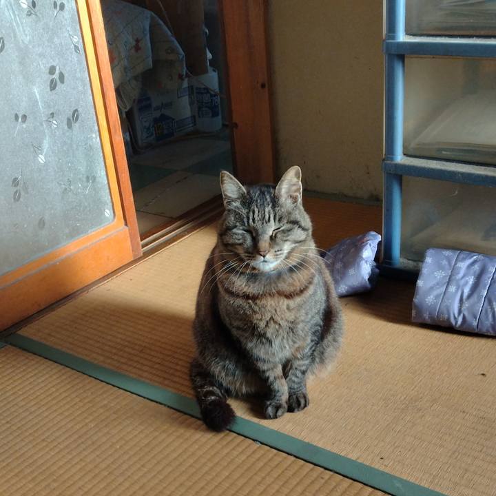 D3ddb875 13b9 4f3b bd12 07bf6f49bae9 1745272822660